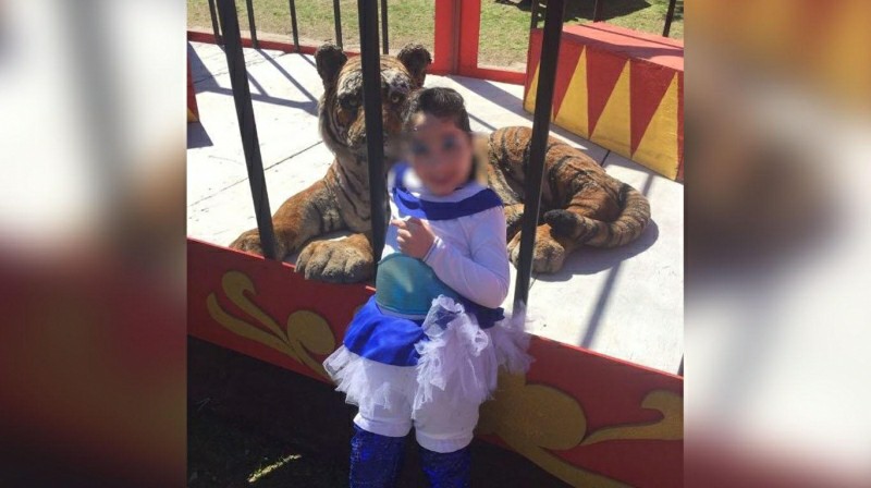 Viral maltrato animal circo argentina emisoras unidas