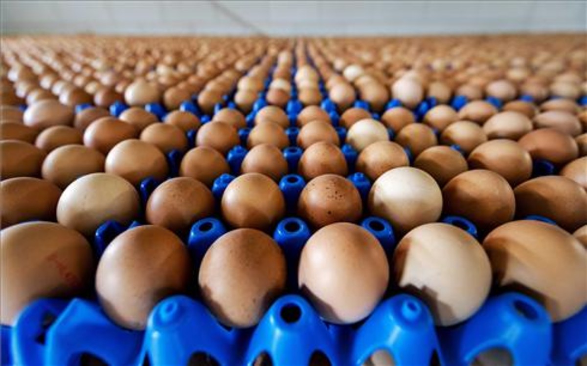 Lo que se sabe de los huevos contaminados