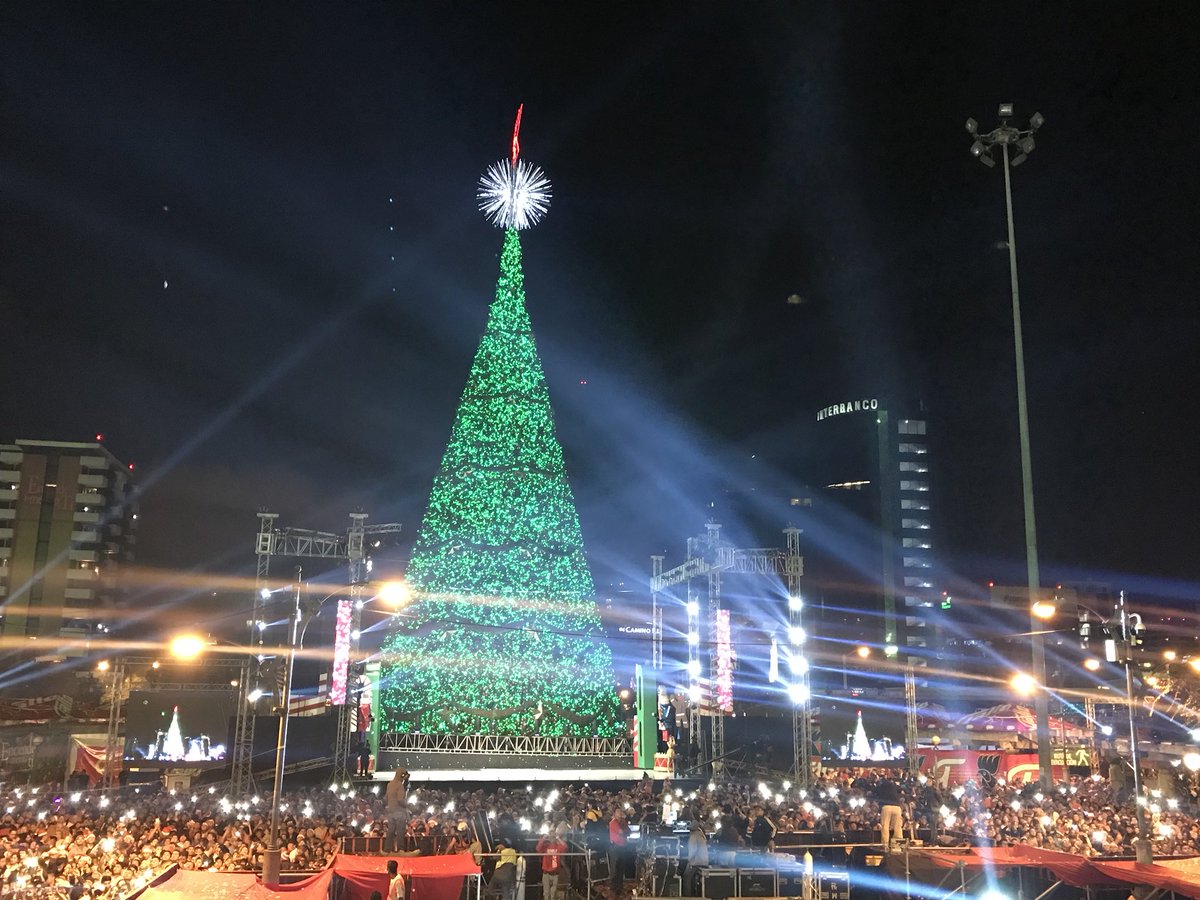 Anuncian fecha del tradicional Festival Árbol Gallo, los detalles