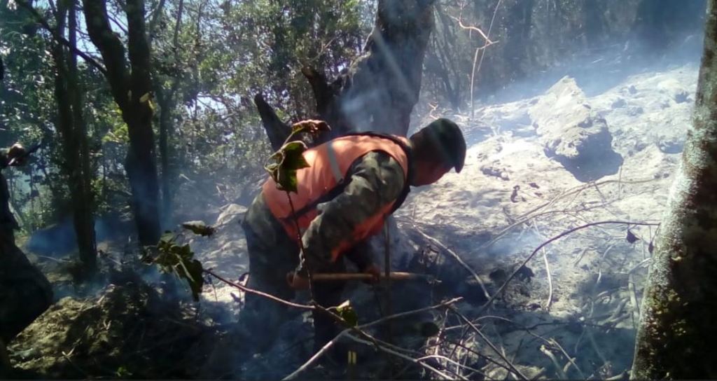 Conred extinguir incendio Cerro Picudo San Marcos