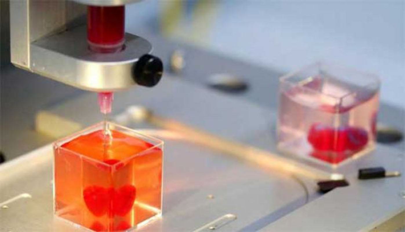 Investigadores hacen con tejido humano en impresora 3D un corazón que palpita
