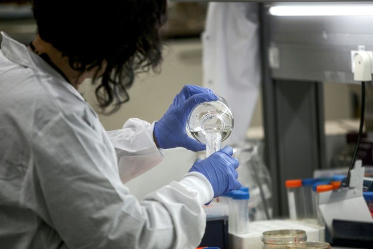 Se buscan ratones de laboratorio en la lucha contra el coronavirus