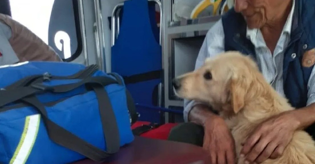 Perro cuida a su dueño en ambulancia
