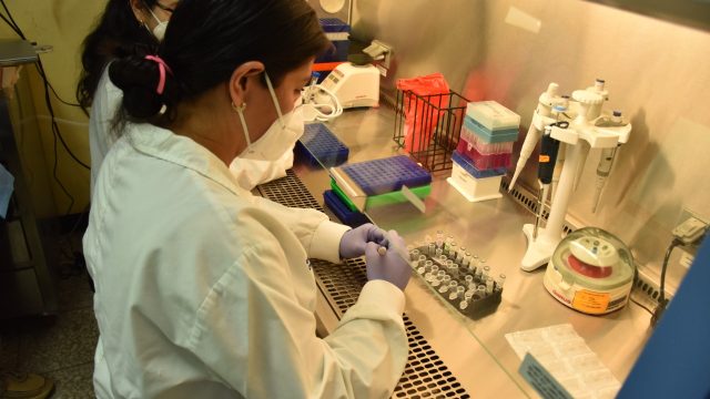 Laboratorio Nacional de Salud verificará muestras de covid-19