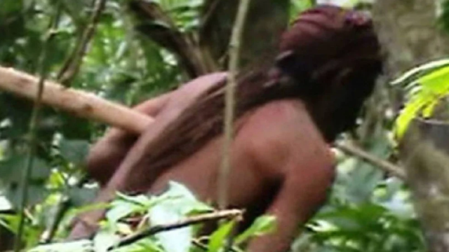 Murió el indígena de la Amazonía conocido como “el hombre más solitario del mundo”